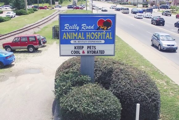 Reilly Rd. Animal Hospital