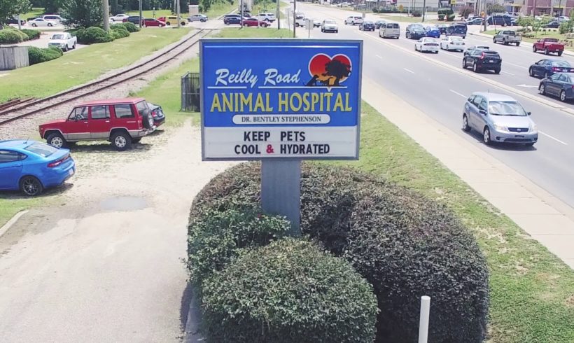 Reilly Rd. Animal Hospital